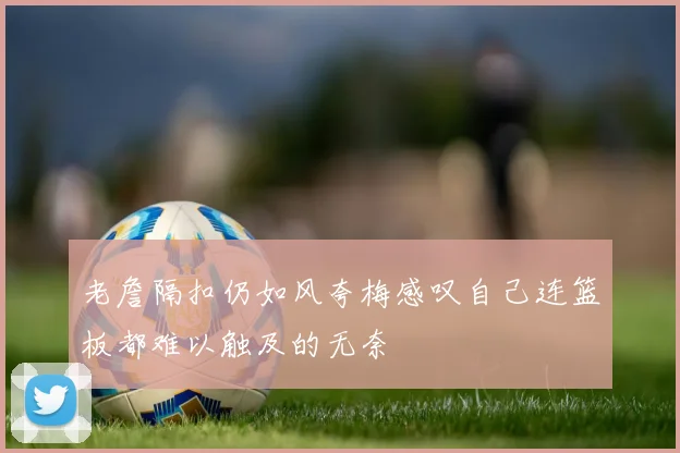 老詹隔扣仍如风夸梅感叹自己连篮板都难以触及的无奈